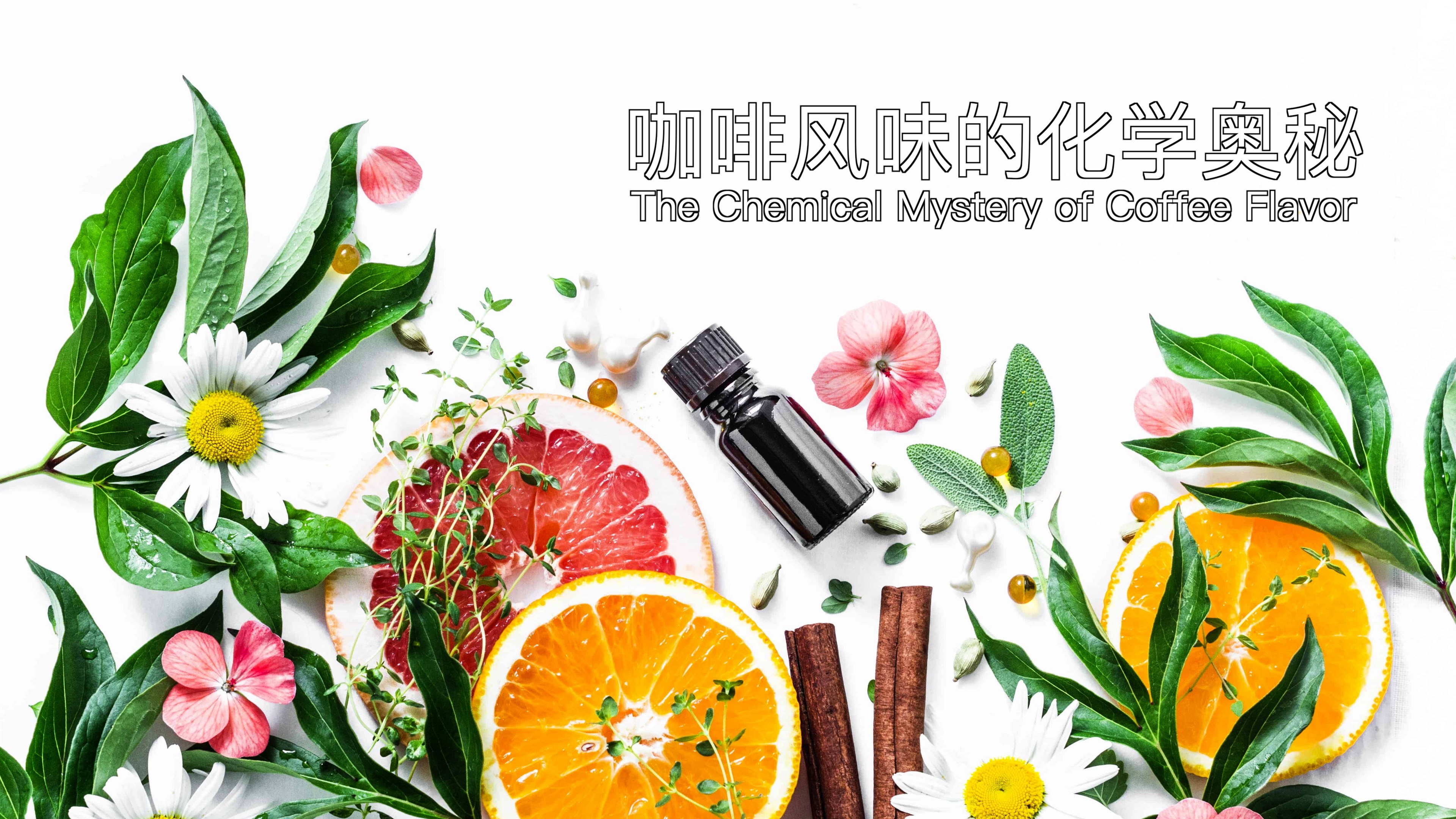 南科大化学系科普专栏《化学与生活》| 第六期 咖啡风味的化学奥秘